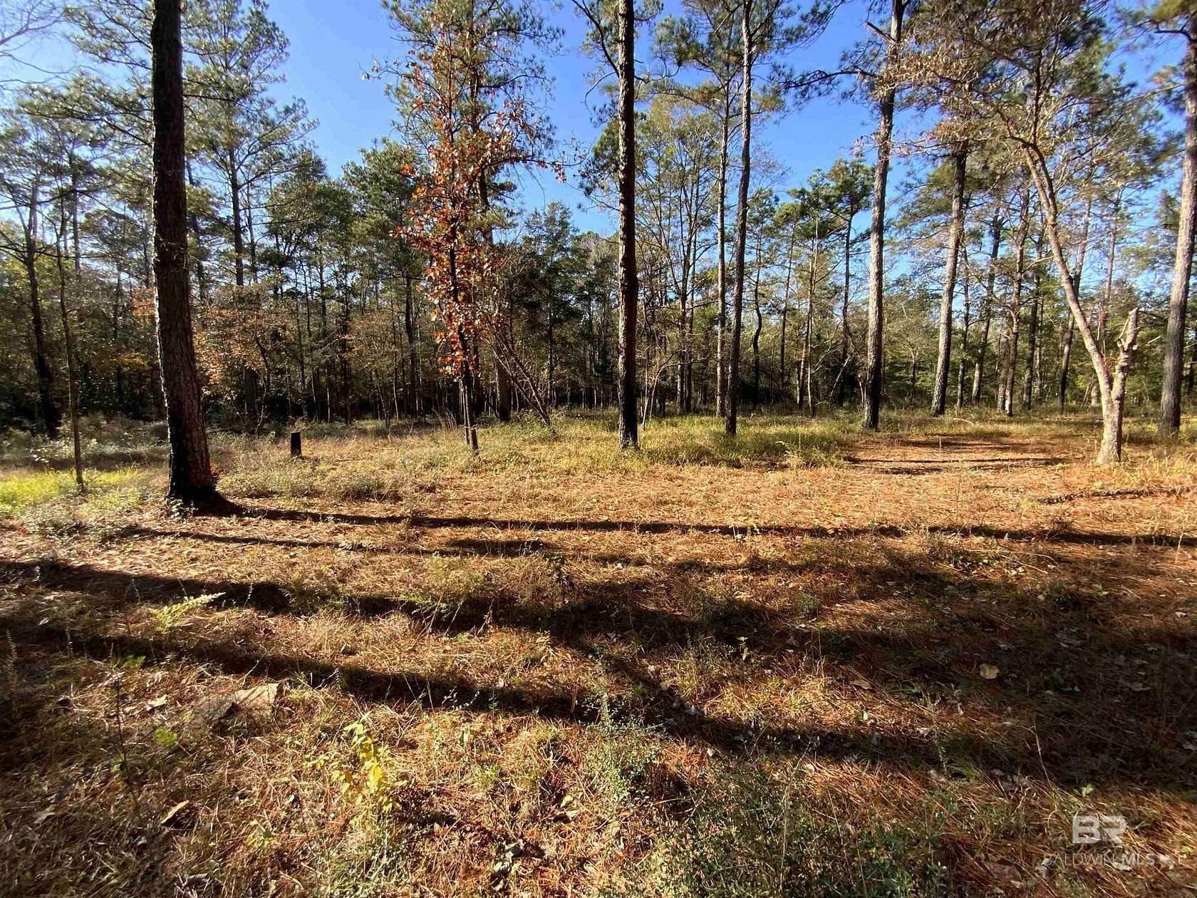 10 Acres of Residential Land for Sale in Bay Minette, Alabama