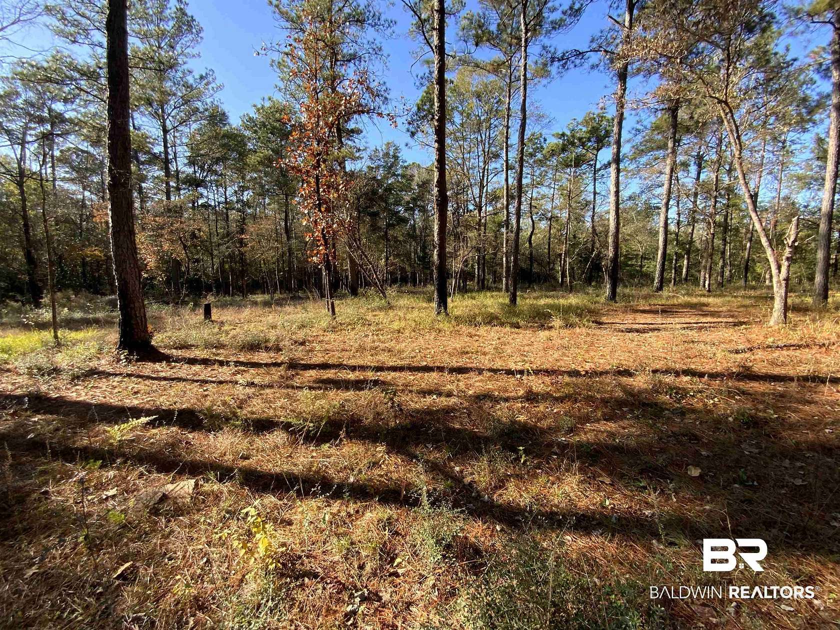 10 Acres of Residential Land for Sale in Bay Minette, Alabama