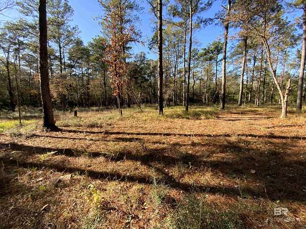 10 Acres of Residential Land for Sale in Bay Minette, Alabama