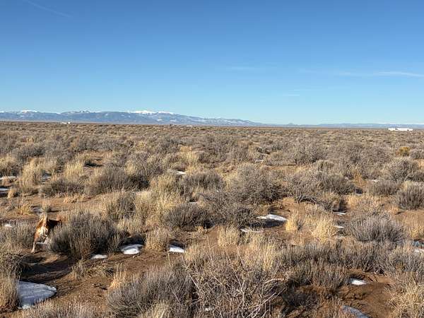 5 Acres of Land for Sale in Blanca, Colorado