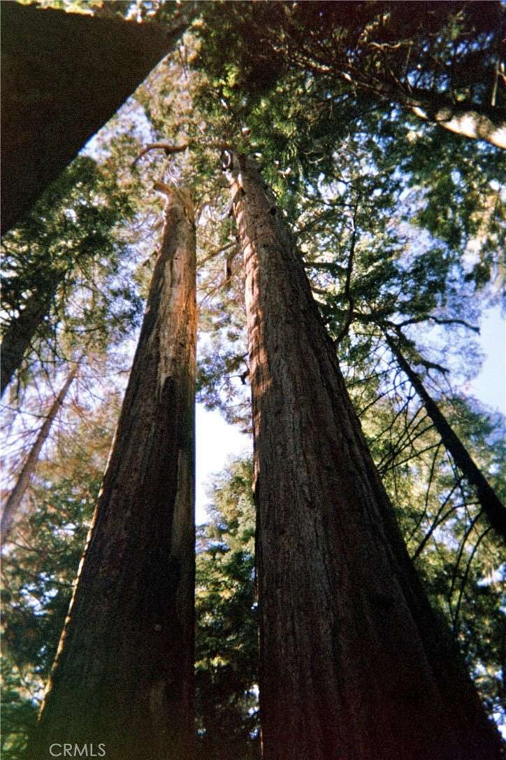 0.69 Acres of Residential Land for Sale in Springville, California