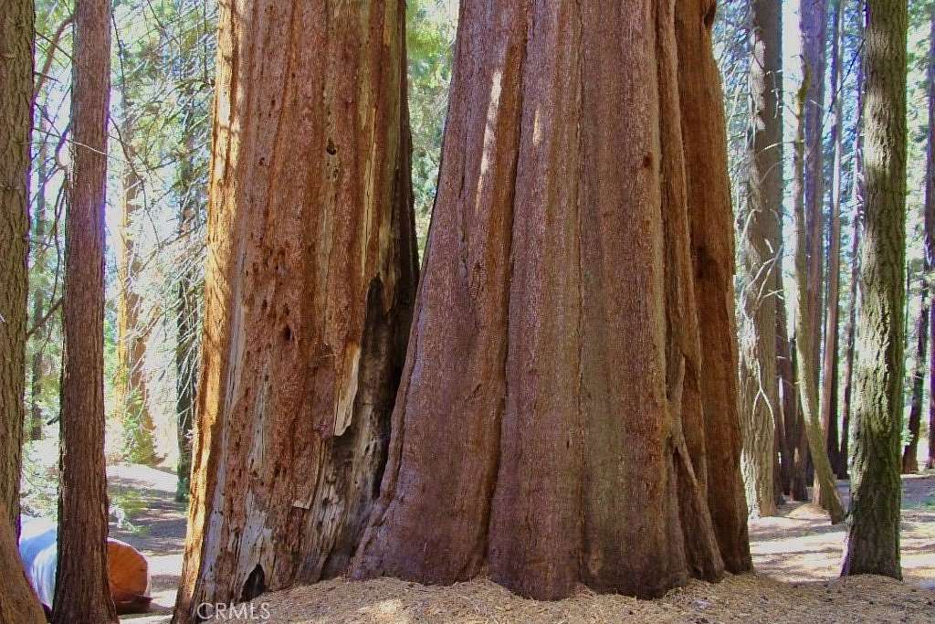 0.69 Acres of Residential Land for Sale in Springville, California