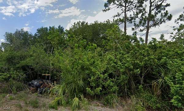 0.29 Acres of Residential Land for Sale in Lehigh Acres, Florida