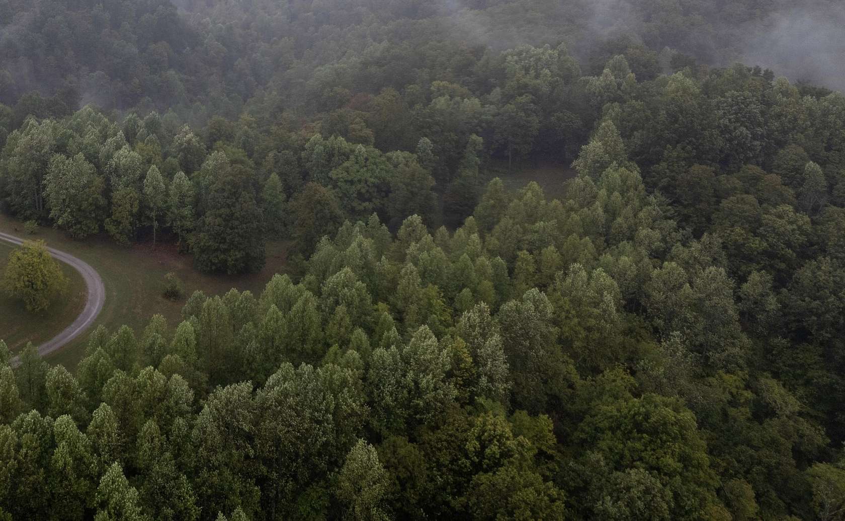 33 Acres of Recreational Land for Sale in Stanford, Kentucky