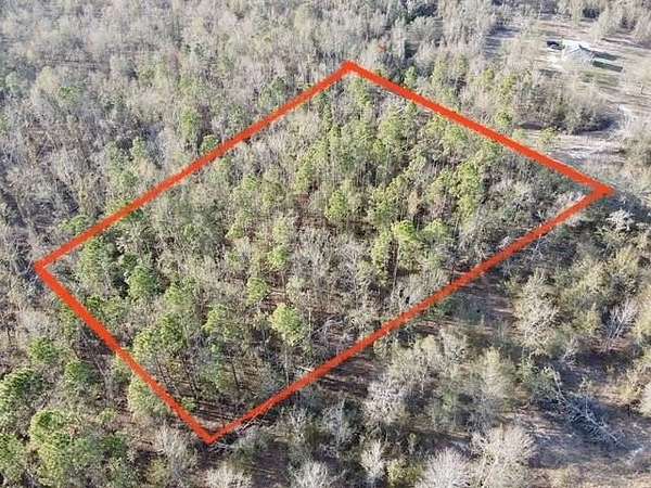 12 Acres of Land for Sale in Pinetta, Florida