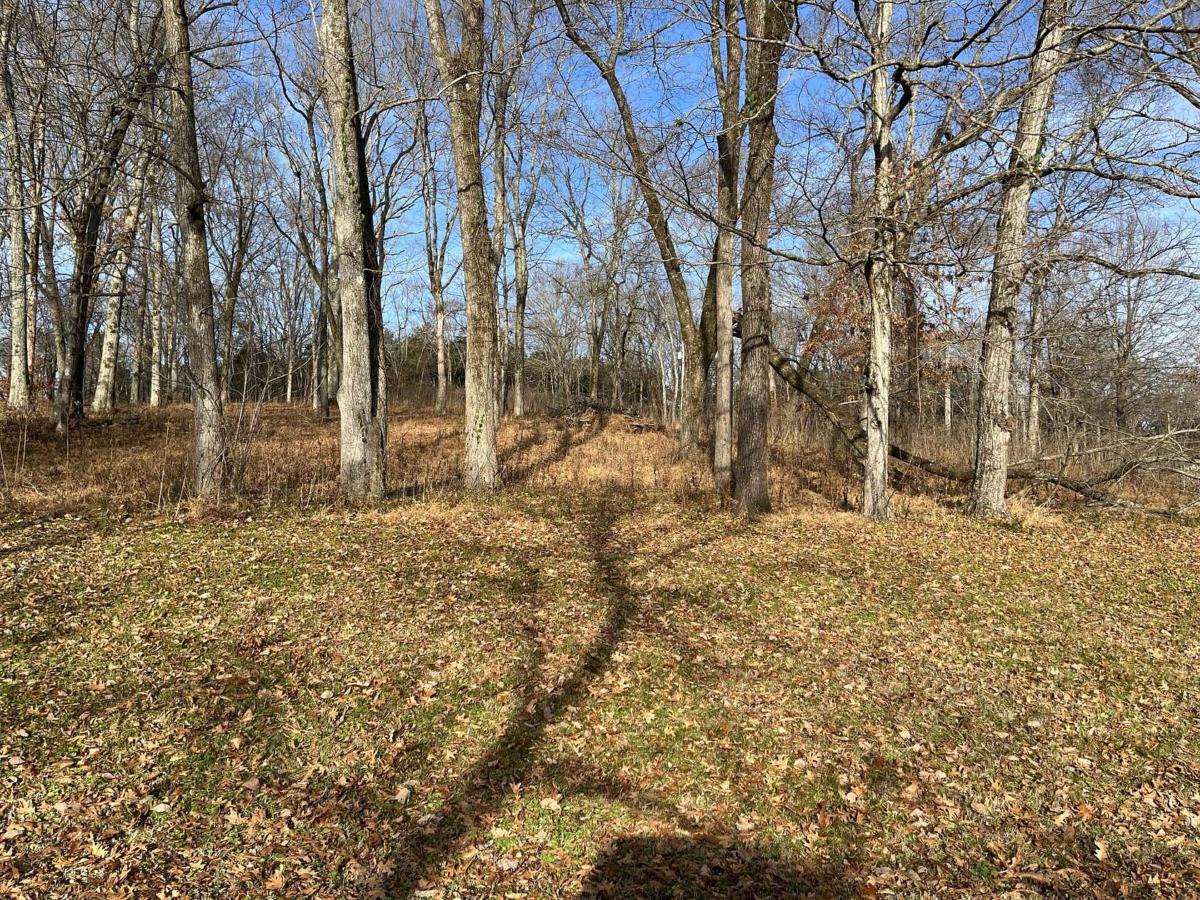 2 Acres of Residential Land for Sale in Pulaski, Tennessee