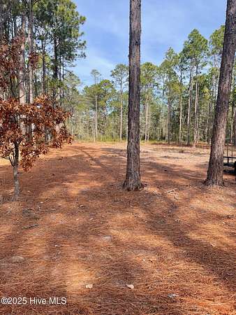 0.43 Acres of Residential Land for Sale in Harrells, North Carolina