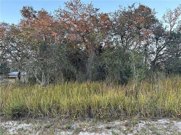 0.23 Acres of Residential Land for Sale in Avon Park, Florida