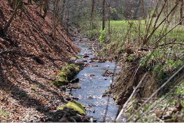 140 Acres of Recreational Land with Home for Sale in Woollum, Kentucky