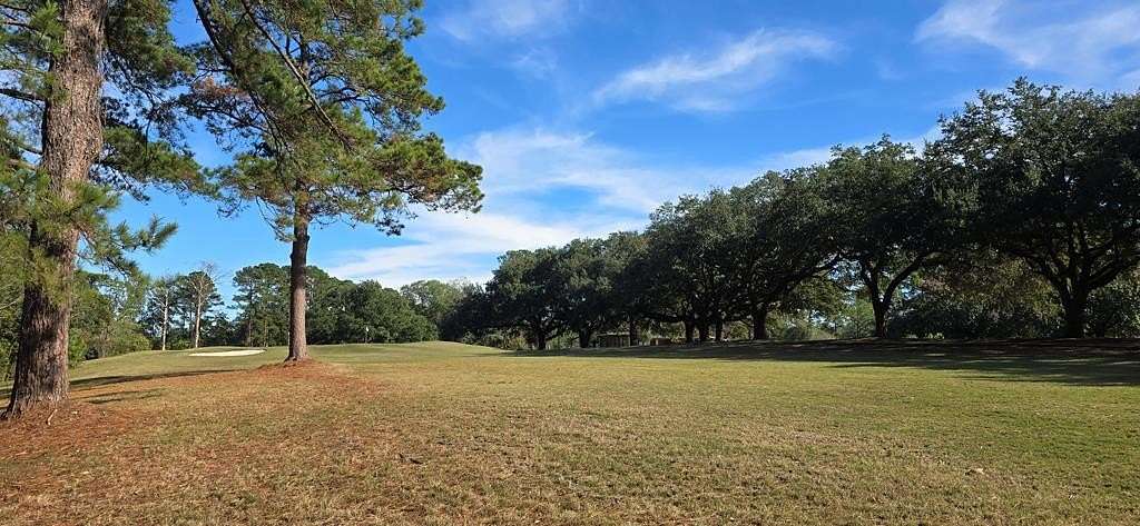0.38 Acres of Residential Land for Sale in Brookeland, Texas