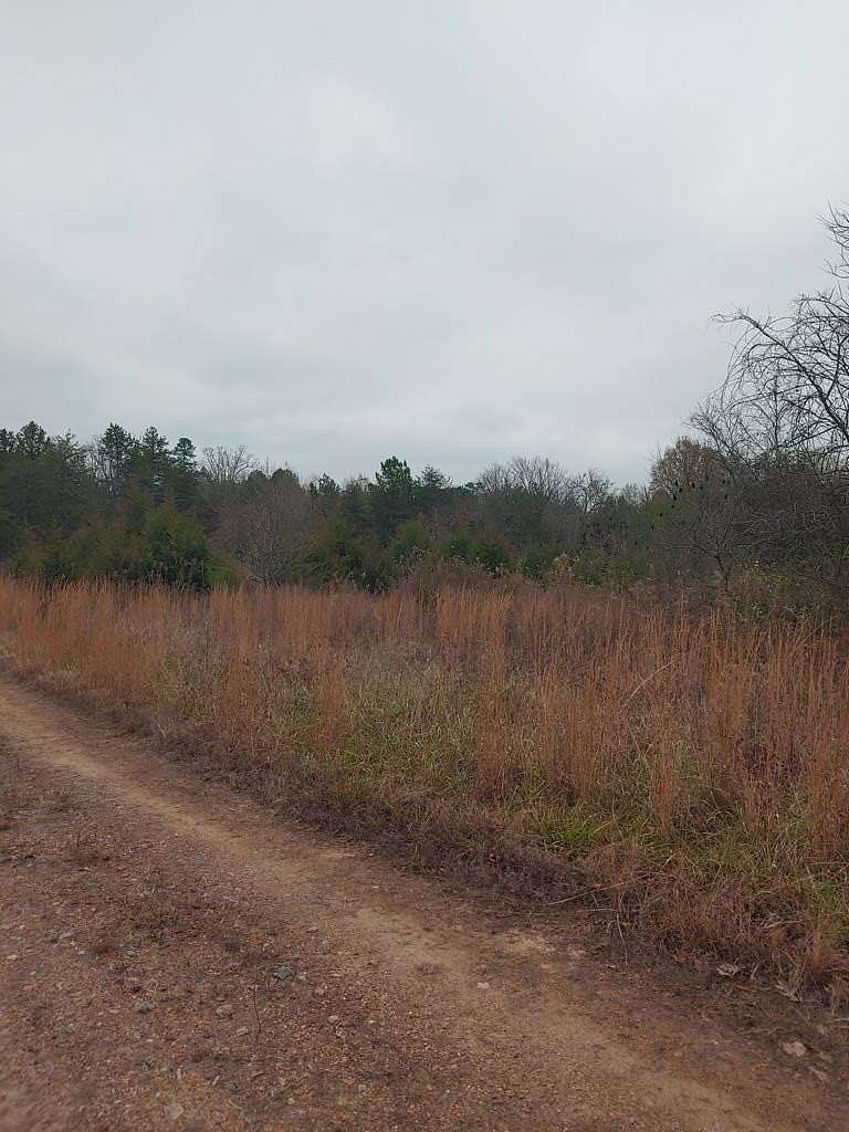 16.7 Acres of Land for Sale in South Boston, Virginia