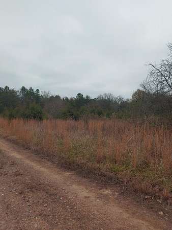 16.7 Acres of Land for Sale in South Boston, Virginia