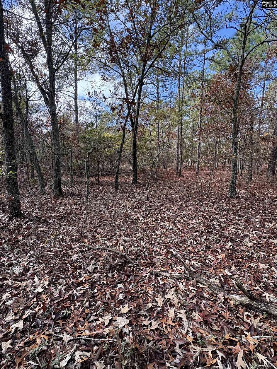 3.76 Acres of Residential Land for Sale in Columbia, South Carolina