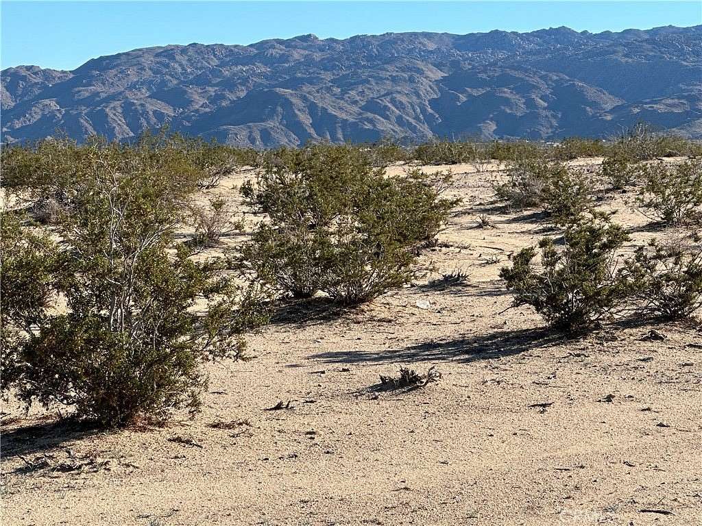 5 Acres of Land for Sale in Twentynine Palms, California