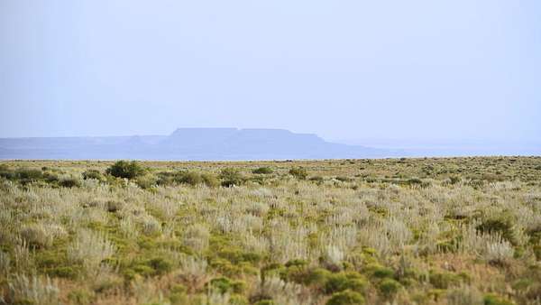 1 Acre of Residential Land for Sale in Adamana, Arizona