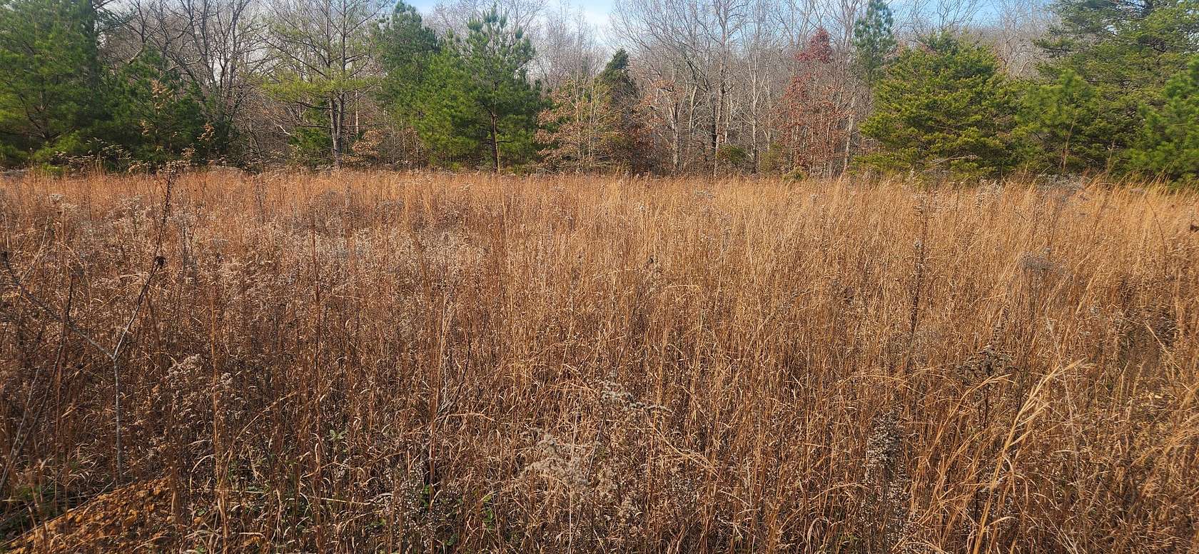 10 Acres of Recreational Land for Sale in Shady Grove, Tennessee