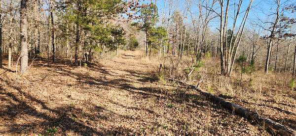 10 Acres of Recreational Land for Sale in Shady Grove, Tennessee