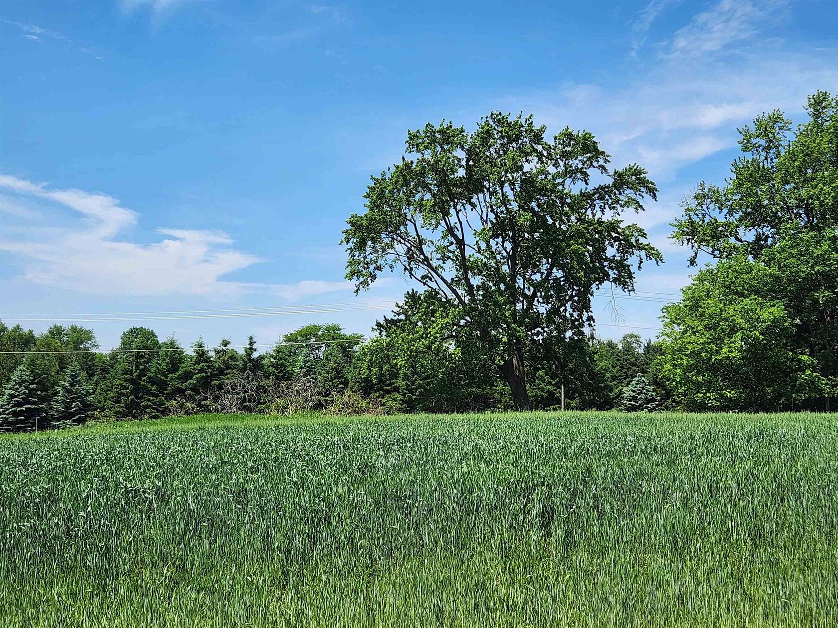 0.59 Acres of Residential Land for Sale in Sun Prairie, Wisconsin
