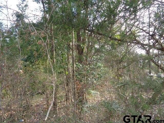 6.77 Acres of Mixed-Use Land for Sale in Winnsboro, Texas