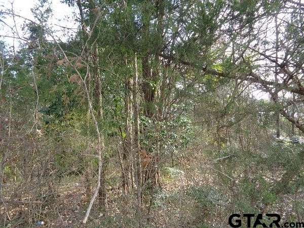 6.77 Acres of Mixed-Use Land for Sale in Winnsboro, Texas