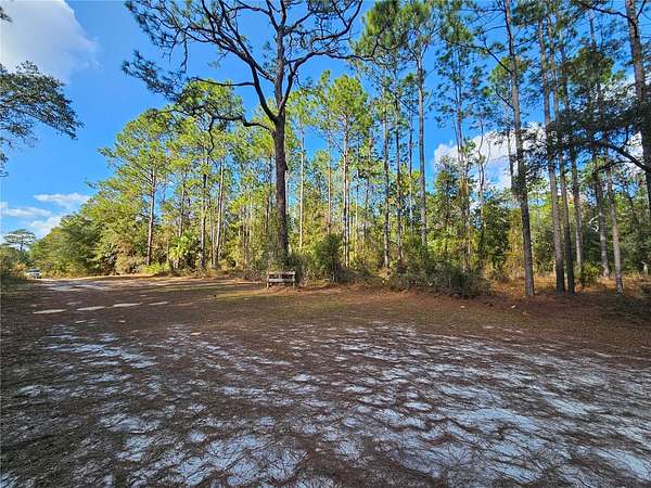 0.92 Acres of Land for Sale in Morriston, Florida
