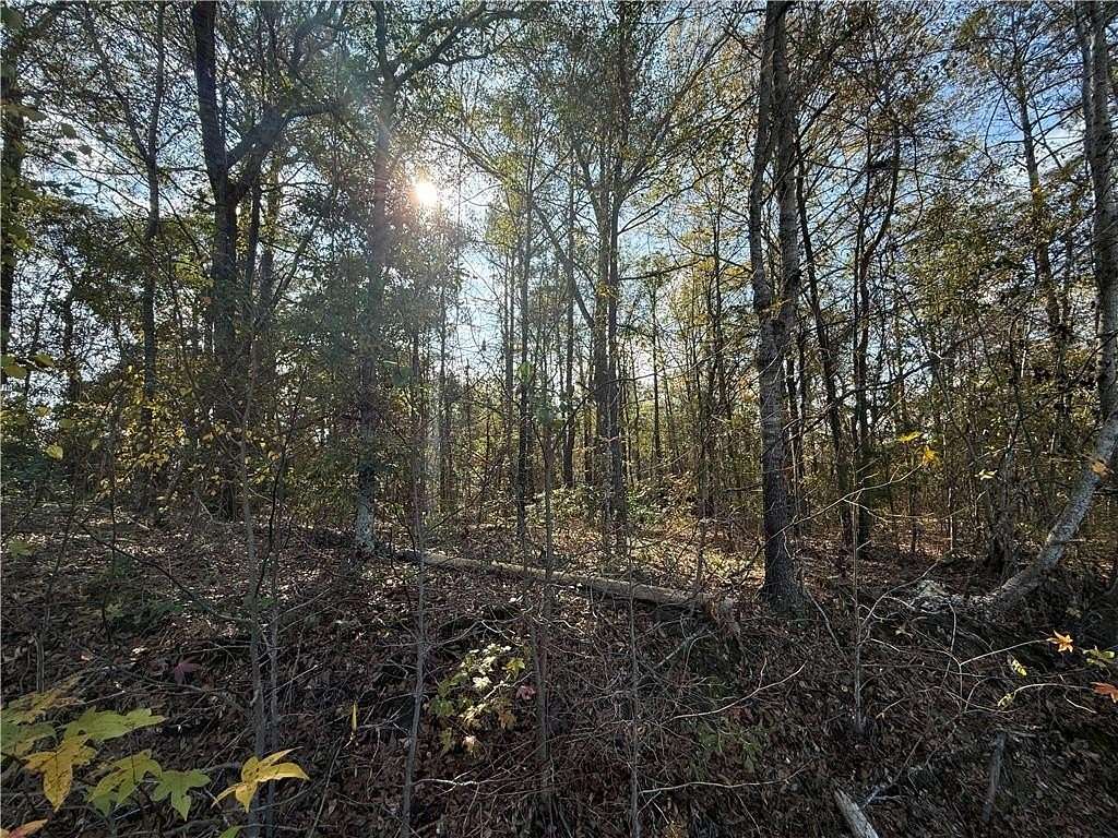 2 Acres of Residential Land for Sale in Smiths Station, Alabama