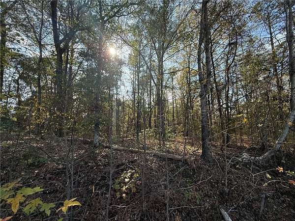 2 Acres of Residential Land for Sale in Smiths Station, Alabama