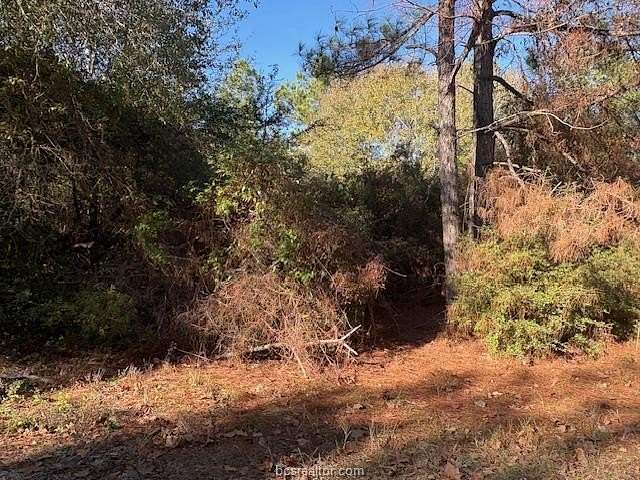 0.25 Acres of Residential Land for Sale in Hilltop Lakes, Texas