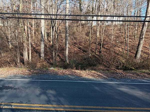 0.33 Acres of Commercial Land for Sale in Mount Carmel, Tennessee