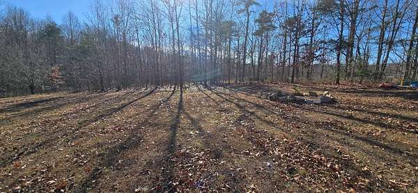 6 Acres of Land for Sale in Menlo, Georgia