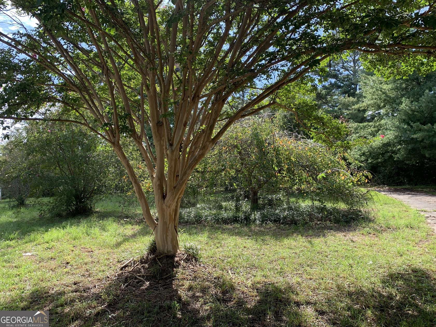 1.49 Acres of Land for Sale in Eastanollee, Georgia