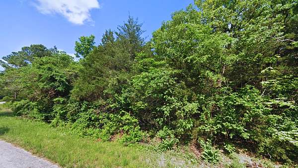 0.24 Acres of Residential Land for Sale in Horseshoe Bend, Arkansas