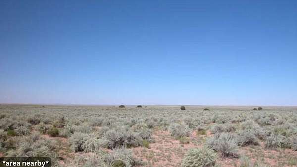 4.6 Acres of Residential Land for Sale in Chambers, Arizona