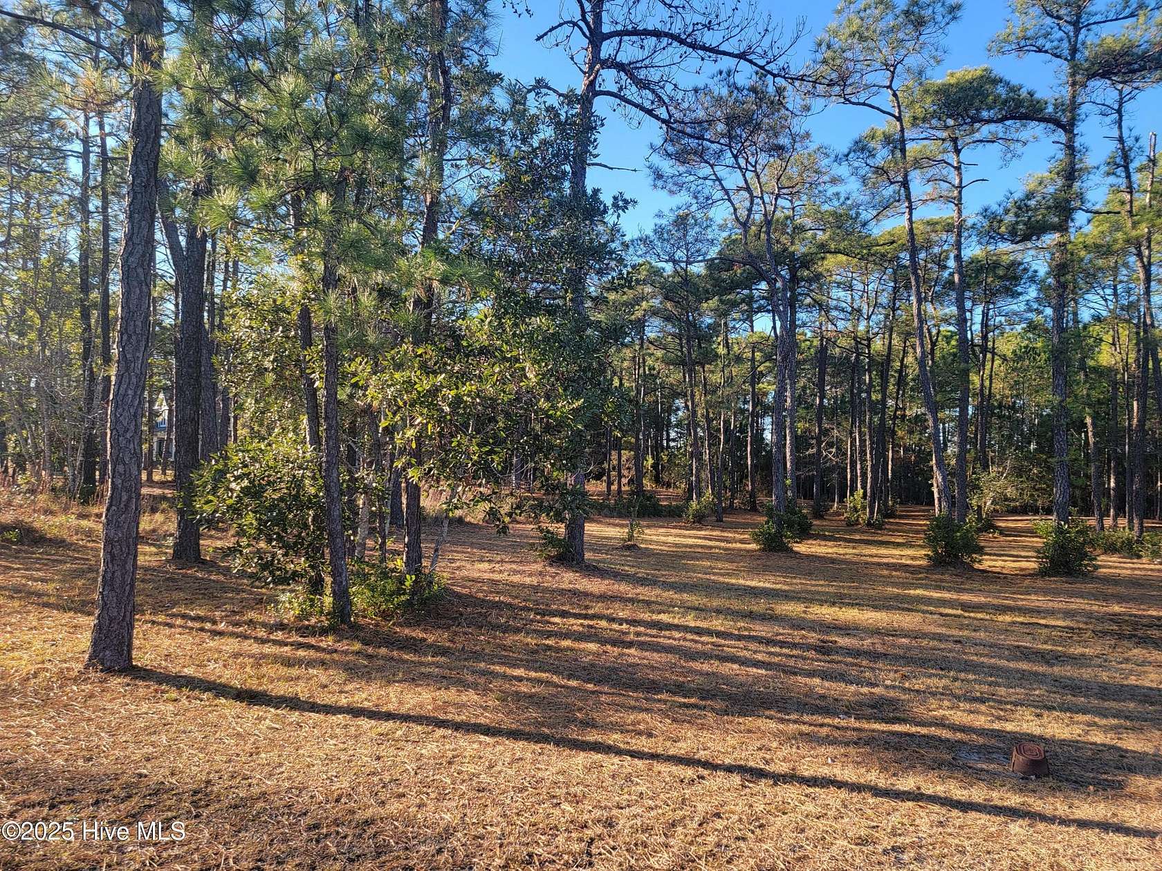 0.25 Acres of Residential Land for Sale in Ocean Isle Beach, North Carolina