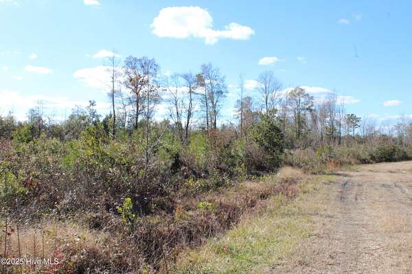 115 Acres of Land for Sale in Trenton, North Carolina