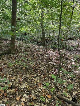 1.55 Acres of Residential Land for Sale in Easley, South Carolina