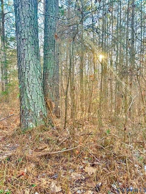 2 Acres of Residential Land for Sale in Chesterfield, Virginia