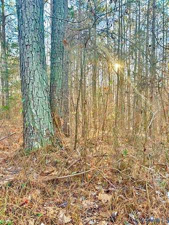 2 Acres of Residential Land for Sale in Chesterfield, Virginia