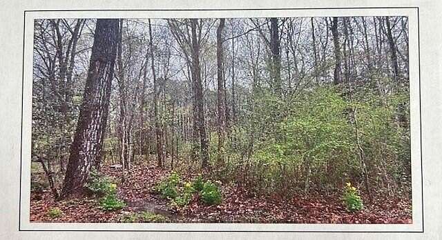 Residential Land for Sale in Starkville, Mississippi