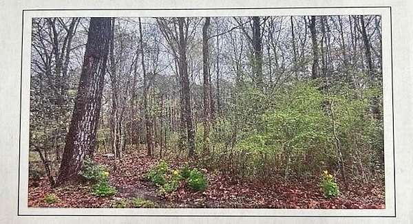Residential Land for Sale in Starkville, Mississippi