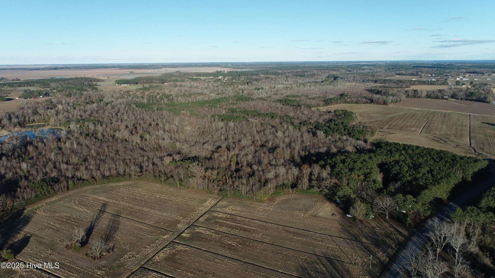 50.2 Acres of Recreational Land for Sale in Pinetown, North Carolina