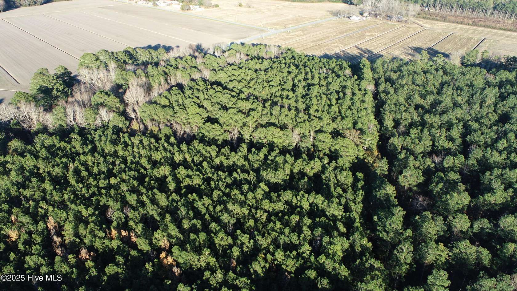 4.83 Acres of Residential Land for Sale in Belhaven, North Carolina