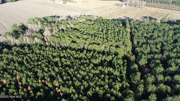 4.83 Acres of Residential Land for Sale in Belhaven, North Carolina