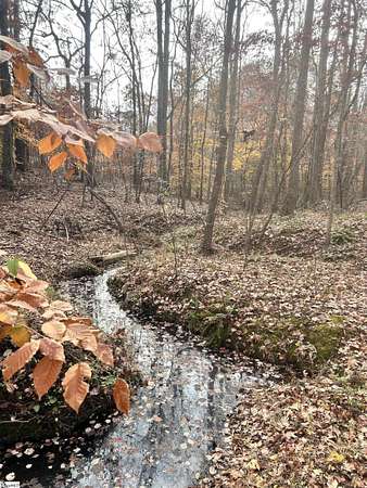 5.26 Acres of Residential Land for Sale in Cross Hill, South Carolina