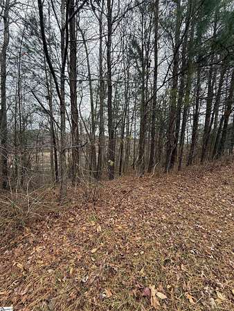 0.38 Acres of Residential Land for Sale in Travelers Rest, South Carolina