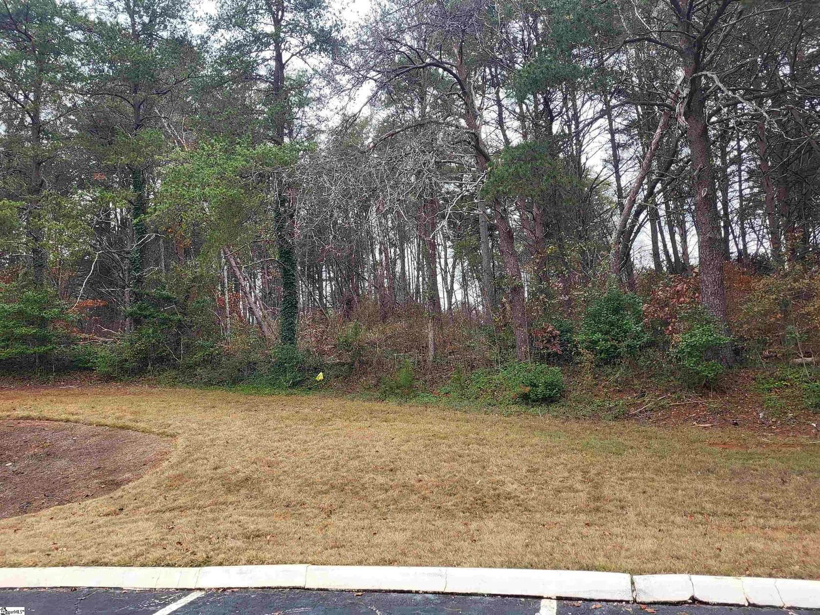 35.3 Acres of Commercial Land for Sale in Taylors, South Carolina