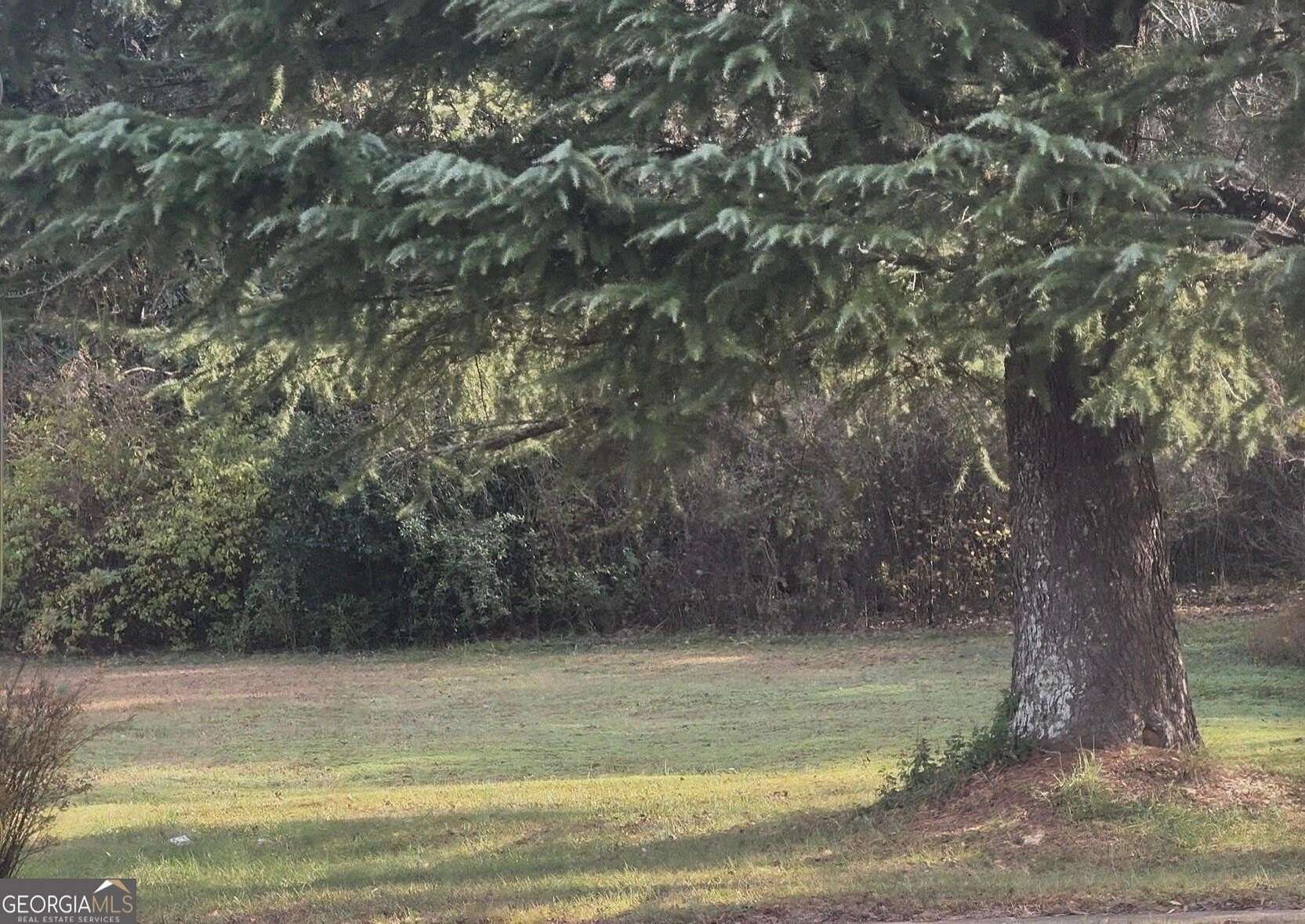 2 Acres of Mixed-Use Land for Sale in McDonough, Georgia