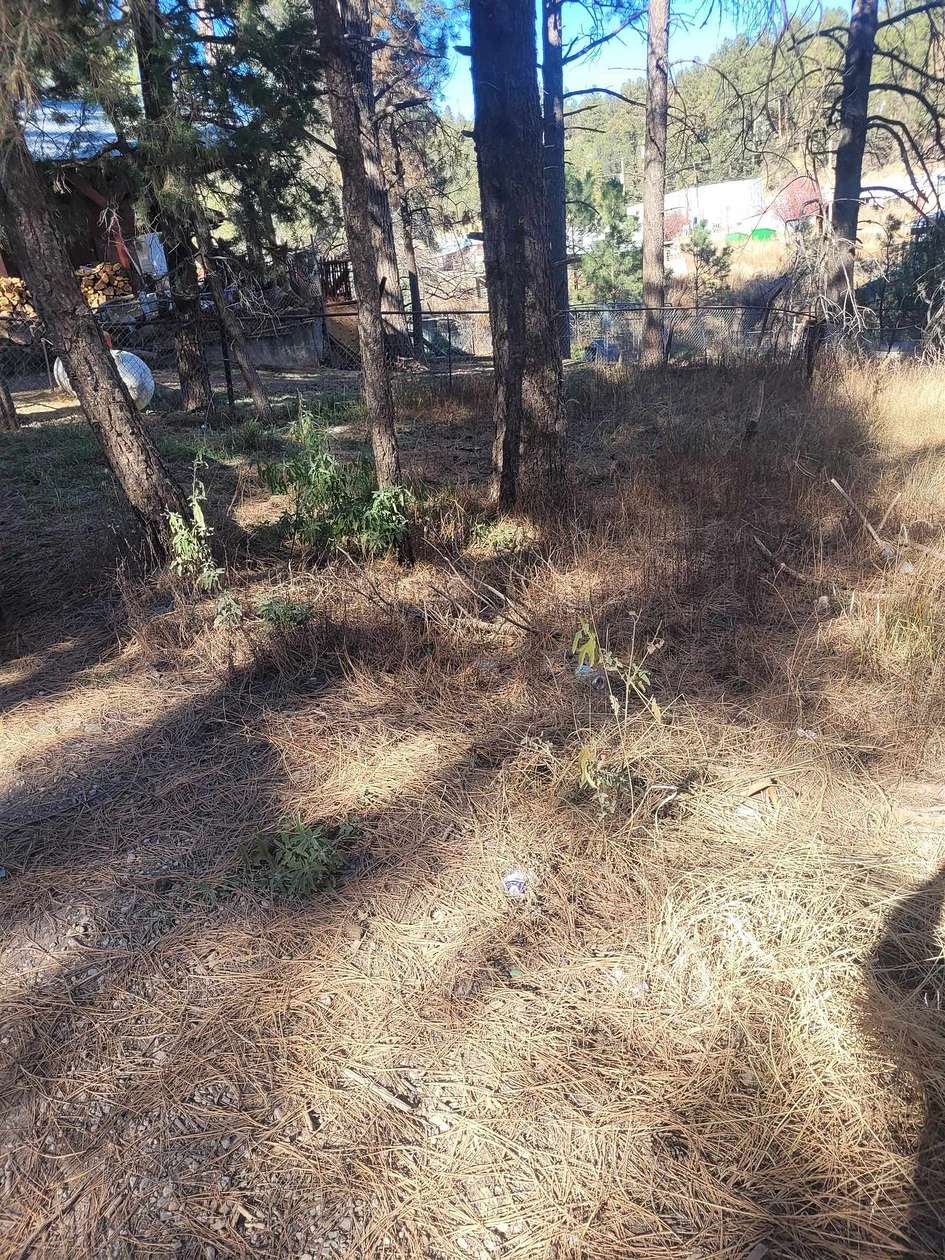 0.48 Acres of Residential Land for Sale in Mayhill, New Mexico