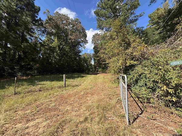 38 Acres of Recreational Land for Sale in Palestine, Texas