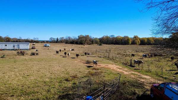 45.2 Acres of Land for Sale in Gilmer, Texas